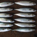 Frozen Pacific Mackerels