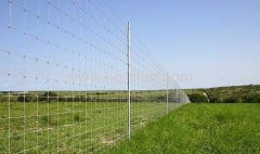 Field Fence