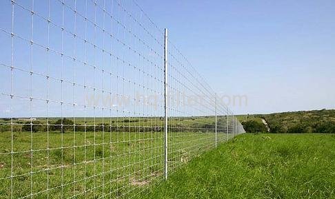 Field Fences mesh