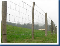 galvanized wire mesh fence