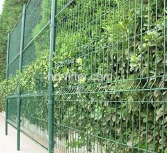 Wire Mesh Fence