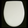 Duroplast toilet seat