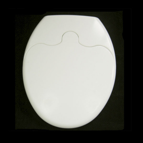 Duraplast toilet seat