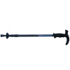 Walking Stick