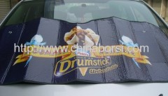 PE bubble car sunshade 2009 10 29