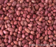 groundnuts