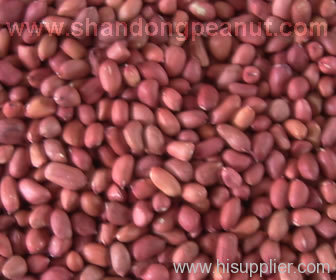 groundnuts