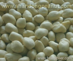 Blanched Peanut Kernels