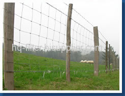 field fence