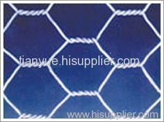 hexagonal wire mesh