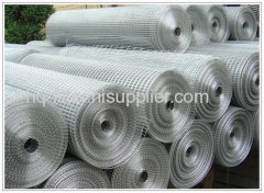 Galvanized Welded Wire Mesh Rolls