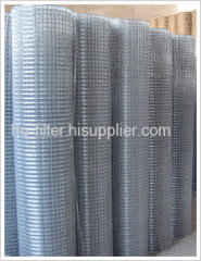 Galvanized Welded Wire Mesh