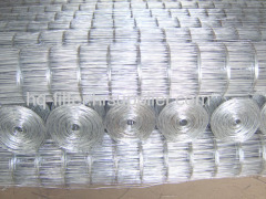 galvanized mesh