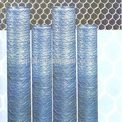 Galvanized Wire Mesh