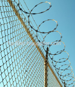 Barbed Wire Netting