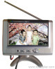 7 DVB-T digital TV