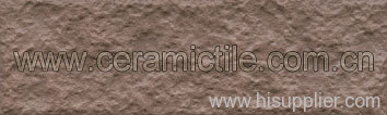 Exterior Ceramic Tile