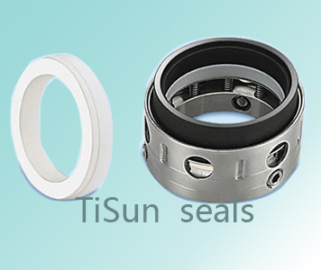 TS109 PTFE Wedge mechanical seals