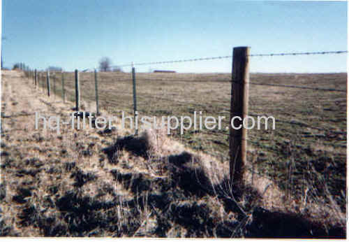 strand of barbed wire fencing