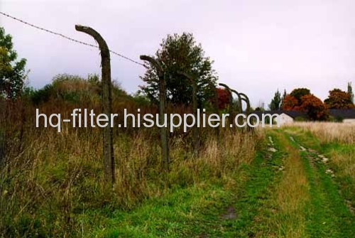 remnant of barbed wire fence