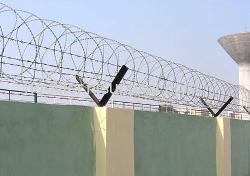 electric razor barbed wire fence