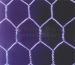 galvanized hexagonal wire mesh