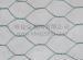 hexagonal wire mesh