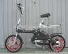 folding electric bike