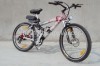 electric mountain bike