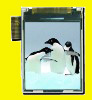 1.77 inch TFT LCD module