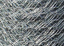Electro Galv Hexagonal Wire nettings