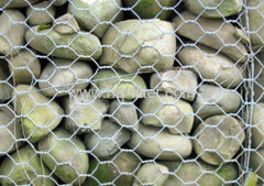 Metal Gabion Mesh