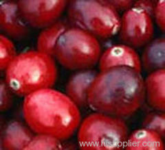 Cranberry Extract