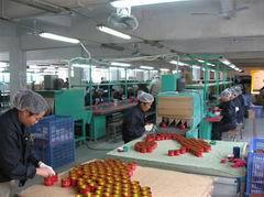 Shenzhen MJ Tin Can Factory Ltd.