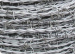 PVC coated barbed wire fence