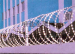 PVC coated barbed wire fence