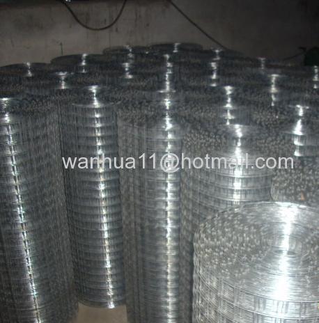 hot dip galvanized welded wires mesh