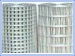 Stainless Steel Welded Wire Mesh Sheet