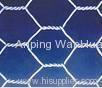 Hexagonal Wire Netting