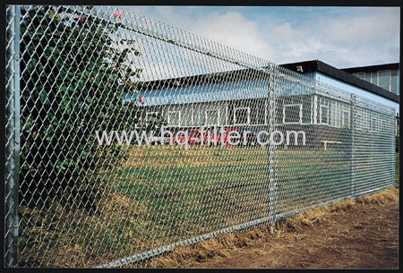 galvanized expanded wiring mesh
