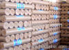 Welded Wire Mesh