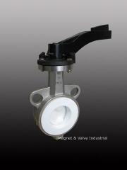 Butterfly Valve