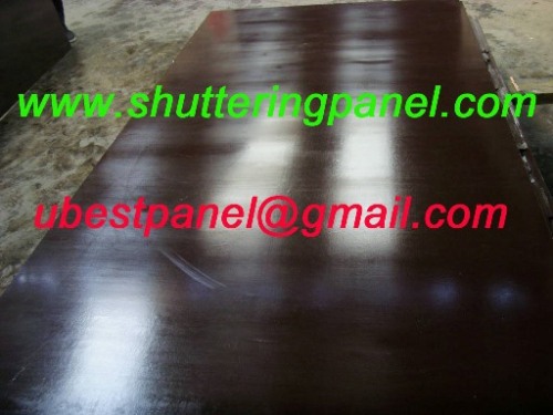 shuttering plywood