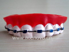 Horror Teeth