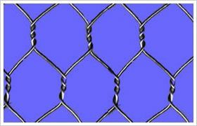 Hexagonal Wire Netting