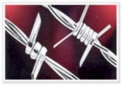 Barbed Wire