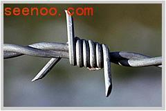 Barbed Wire