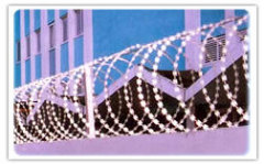 Barbed Wire