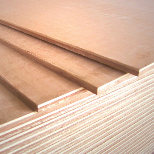 Maple Plywood