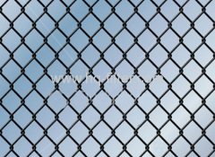 Plastic Coated Chain Link Fence